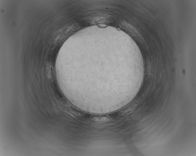 X0000067830169200605111626