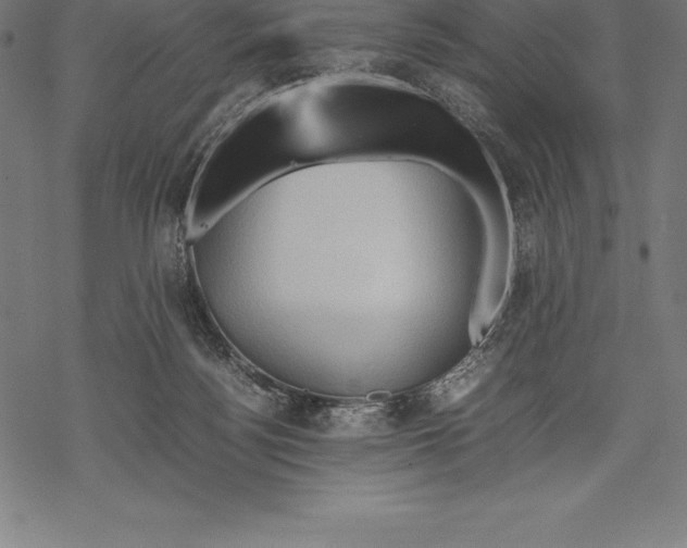 X0000067830172200605111626