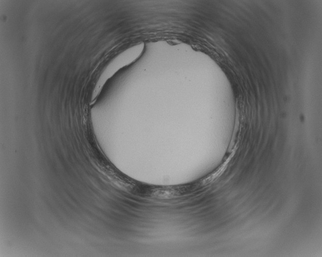 X0000067830174200605111626