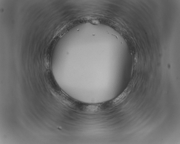 X0000067830176200605111626