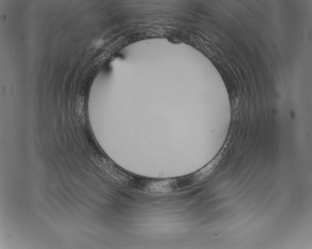 X0000067830178200605111626