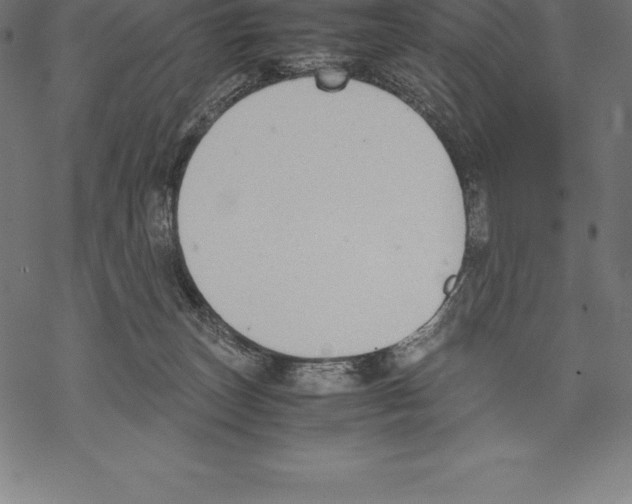 X0000067830179200605111626