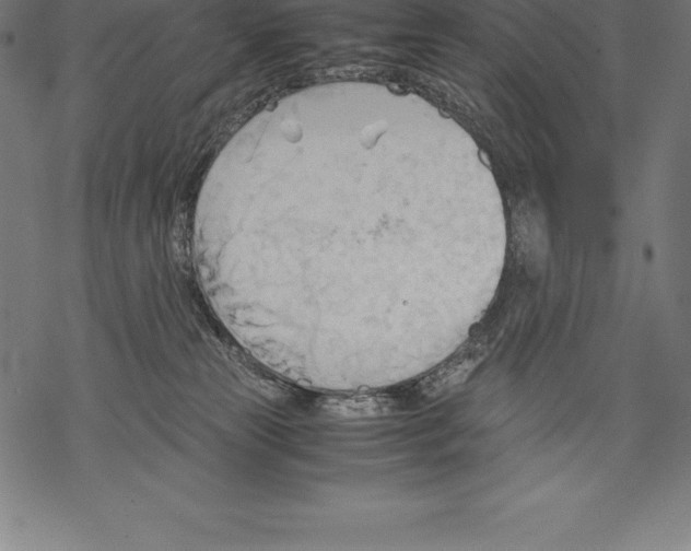 X0000067830181200605111626