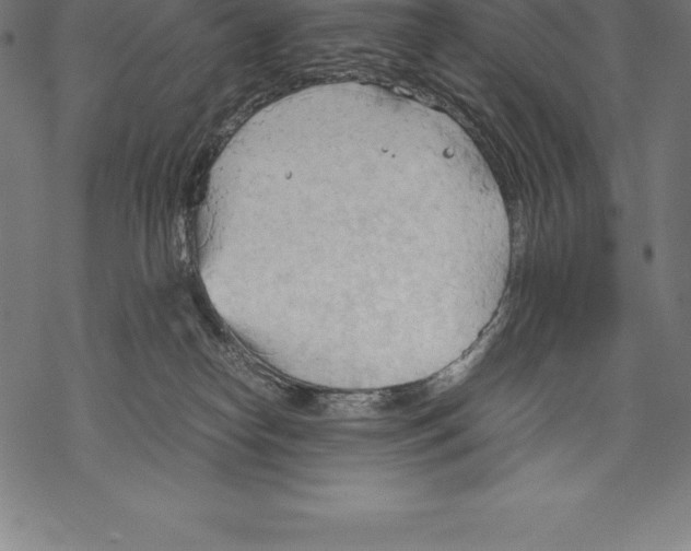 X0000067830182200605111626