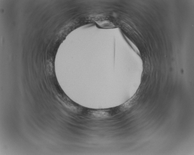 X0000067830183200605111626