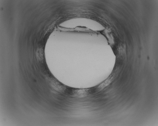 X0000067830184200605111626