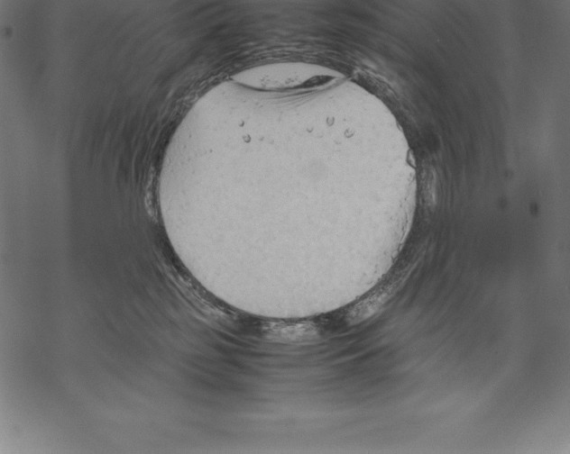 X0000067830185200605111626