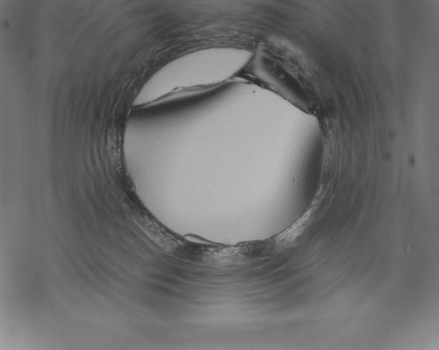 X0000067830186200605111626