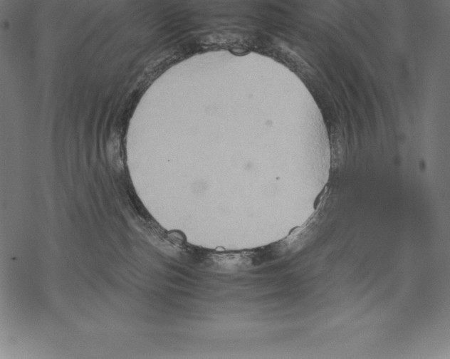 X0000067830187200605111626