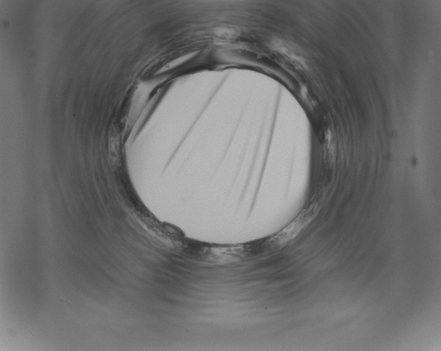 X0000067830188200605111626