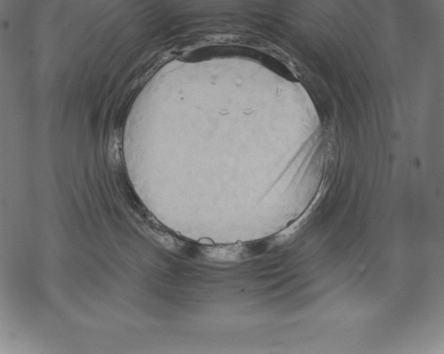 X0000067830191200605111626