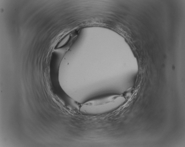 X0000067830193200605111626