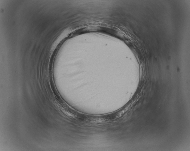 X0000067830195200605111626