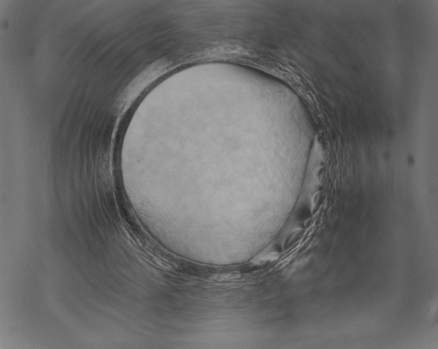 X0000067830196200605111626