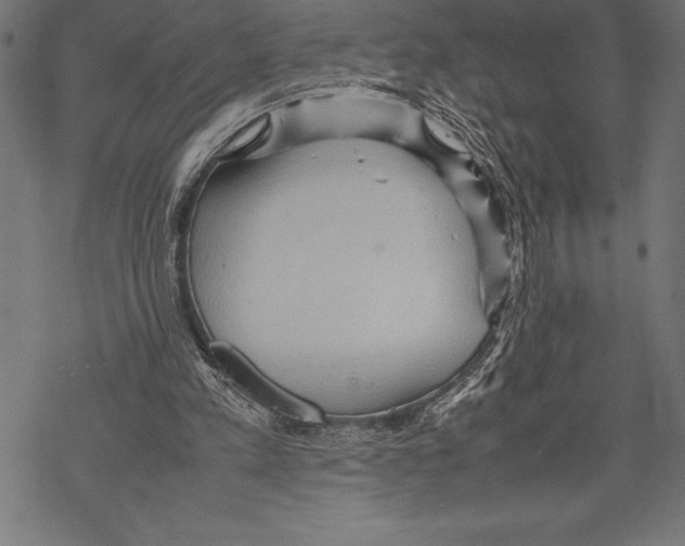 X0000067830197200605111625