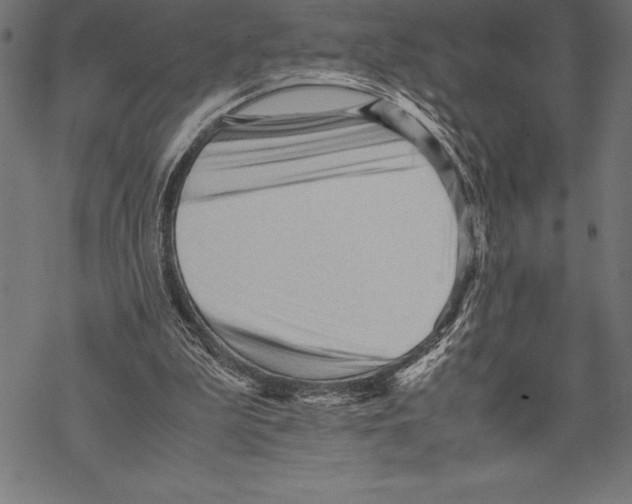 X0000067830199200605111625