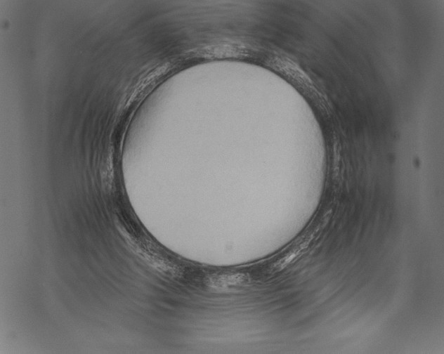 X0000067830202200605111625