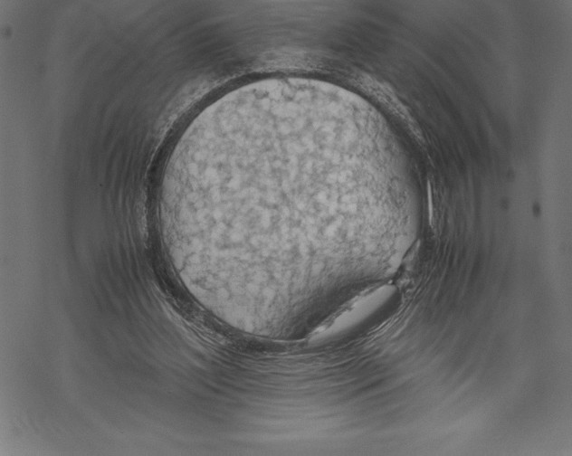 X0000067830204200605111625