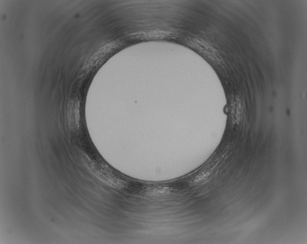 X0000067830206200605111625