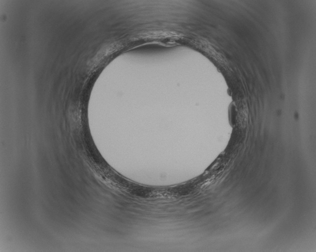 X0000067830207200605111625