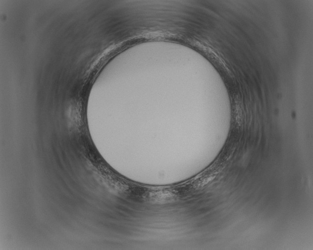 X0000067830208200605111625