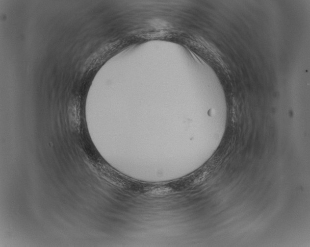 X0000067830210200605111625