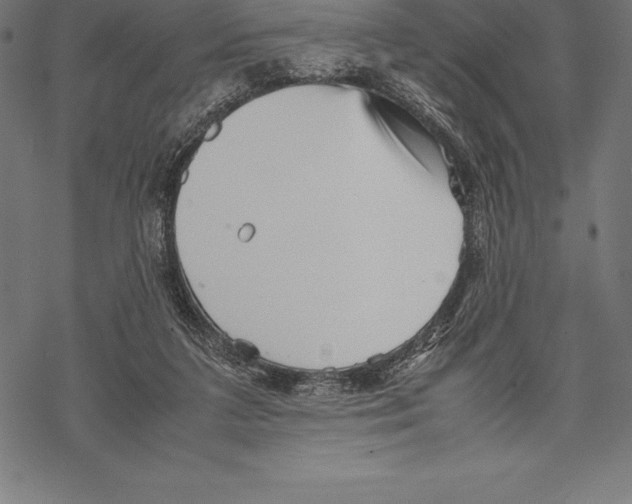 X0000067830211200605111625