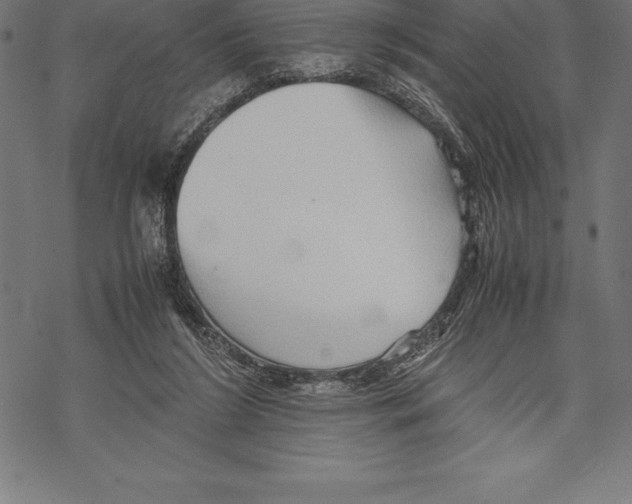 X0000067830212200605111625