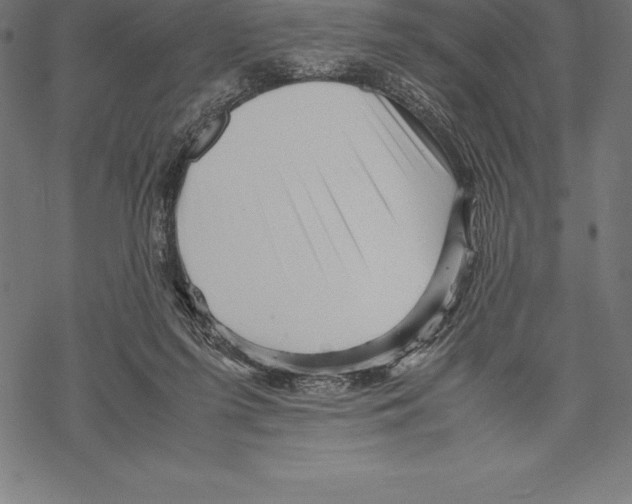 X0000067830215200605111625