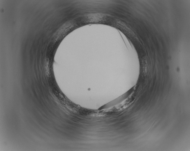 X0000067830216200605111625