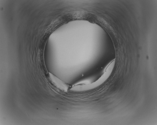 X0000067830217200605111625