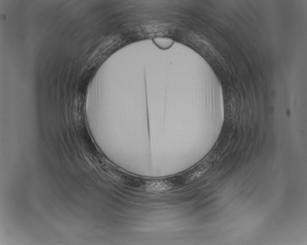 X0000067830218200605111625