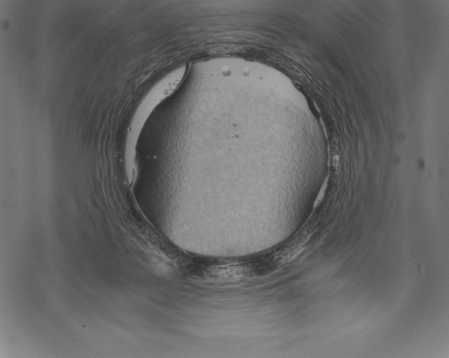 X0000067830219200605111625