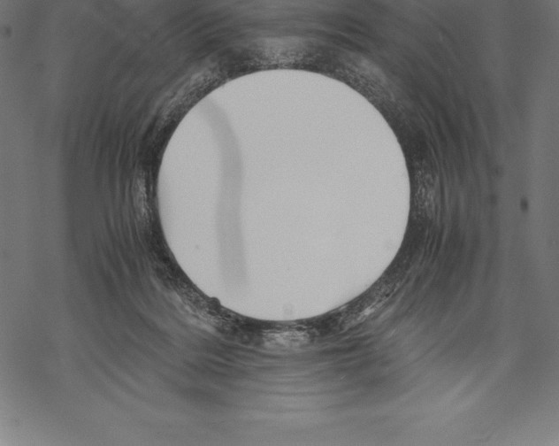 X0000067830220200605111625