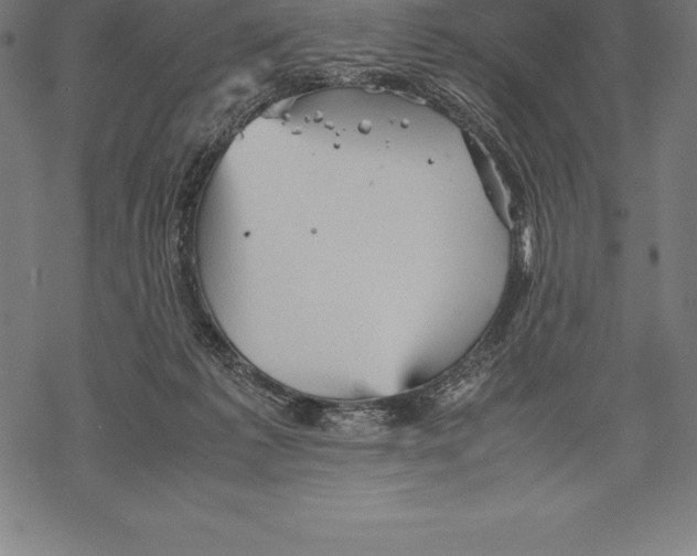 X0000067830221200605111625