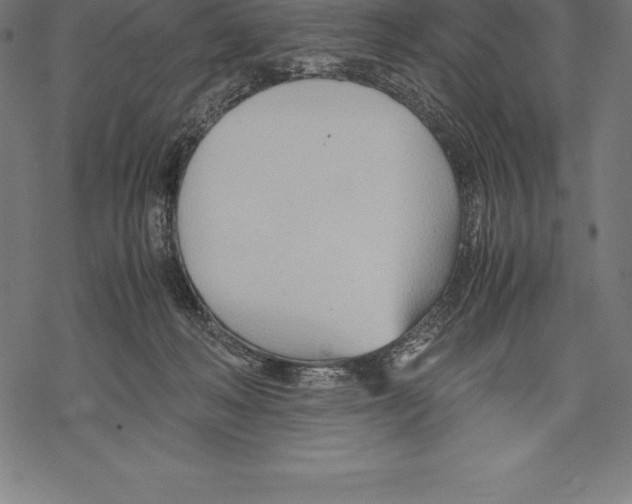 X0000067830222200605111625