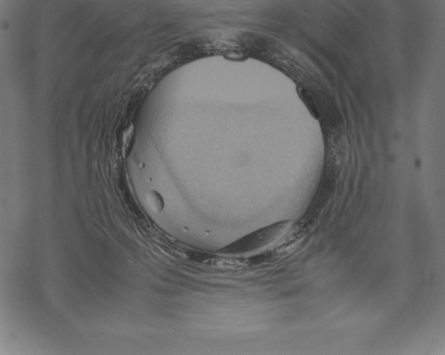 X0000067830223200605111625