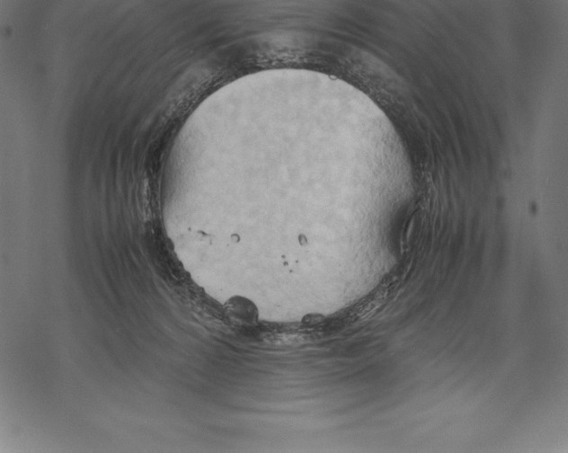 X0000067830224200605111625