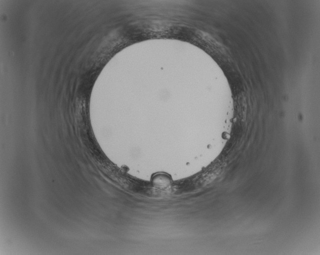 X0000067830225200605111625