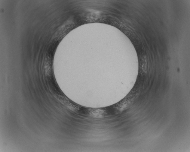 X0000067830226200605111625