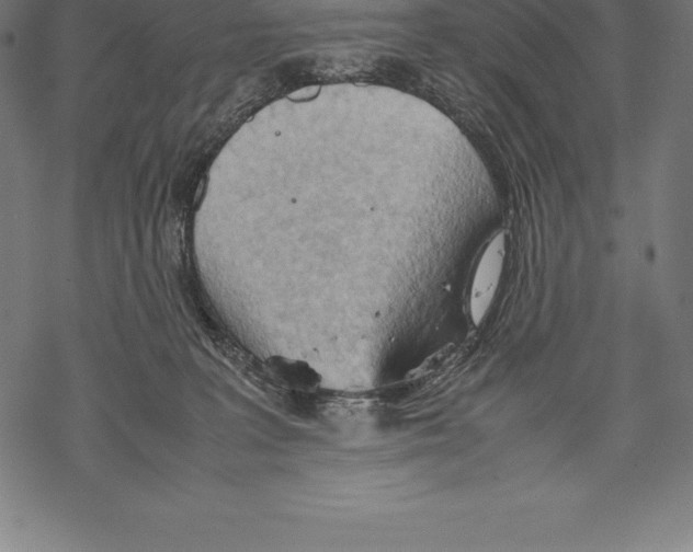 X0000067830227200605111625