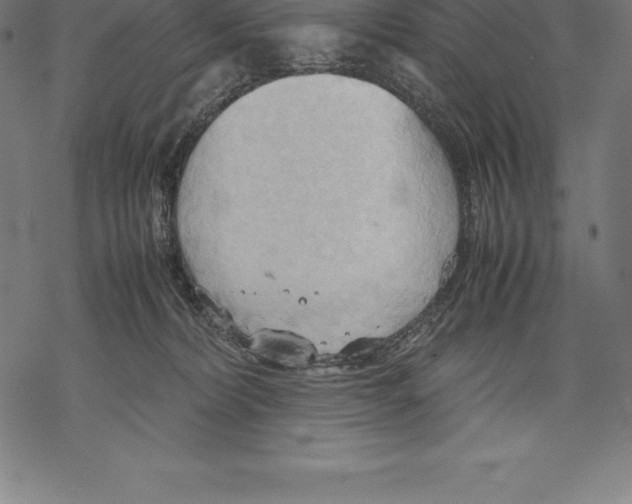 X0000067830228200605111625