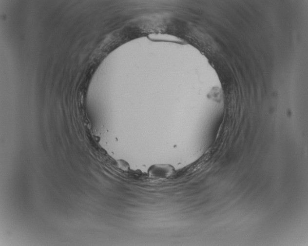 X0000067830229200605111625