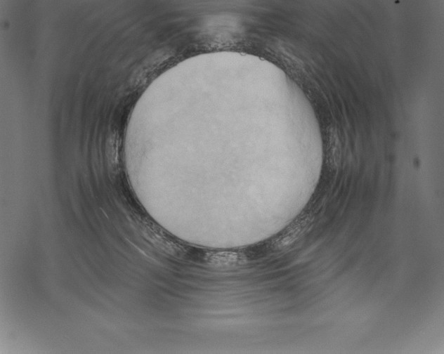 X0000067830230200605111625