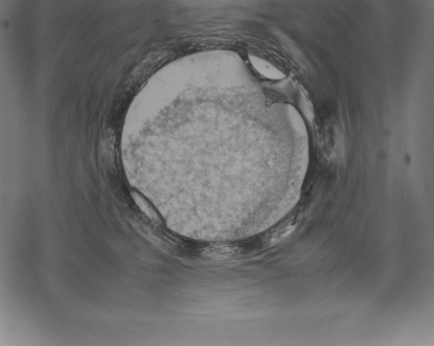 X0000067830231200605111625