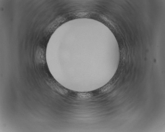 X0000067830234200605111625