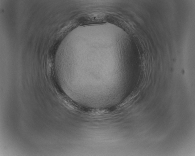 X0000067830235200605111625