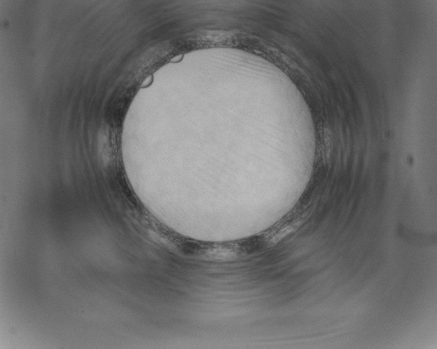 X0000067830236200605111625