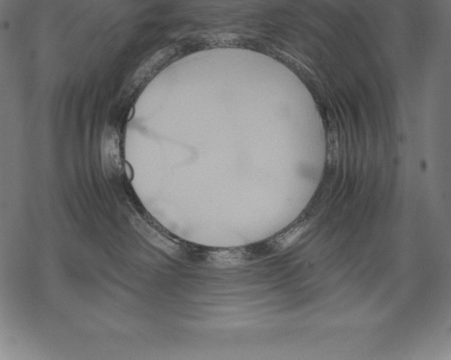 X0000067830238200605111625