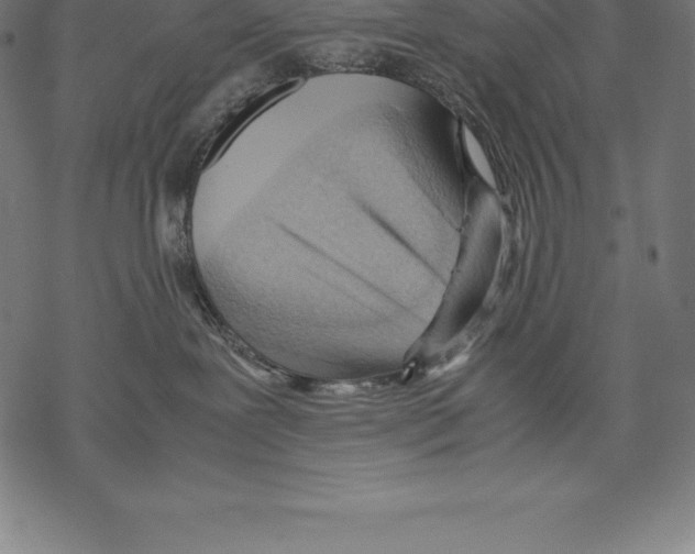 X0000067830239200605111625